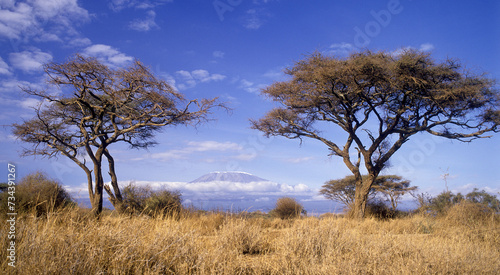 Looking at Mount Kilimanjaro from Kenya the mountain is located in the Kilimanjaro Region of Tanzania.