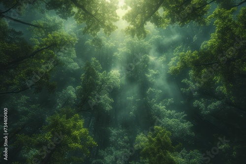 Airy treetop canopy view, soft greenery and light interplay, forest exploration theme