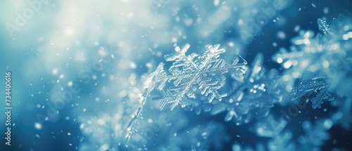 Macro Shot of Snowflake in Winter Wonderland