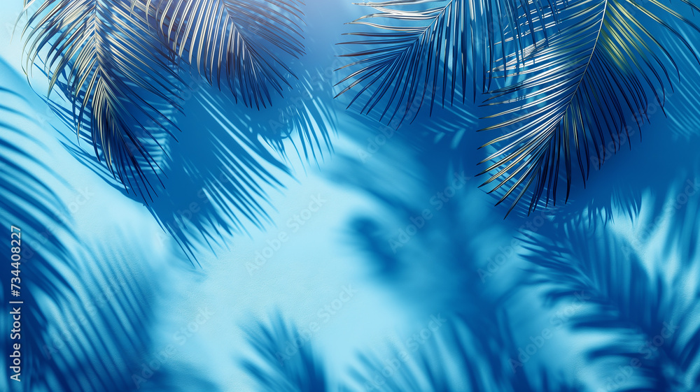 Palm leaves with shadows on blue ground, background