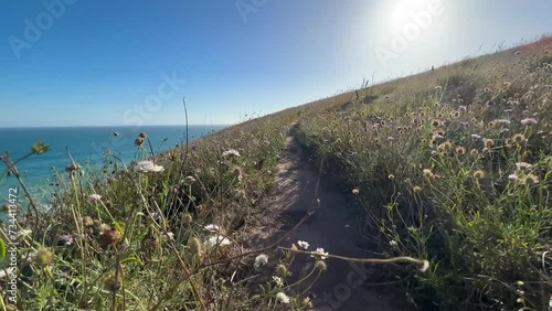 Landscape 4k footage of the pathway through wildflowers near Kings Beach on the Heysen Trail on the Fleurieu Peninsula in South Australia photo