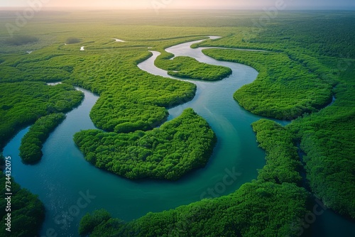 An enchanting aerial view captures the beauty of a river winding through a lush green forest, showcasing the intricate network of water resources and natural landscapes, while highlighting the peacef photo