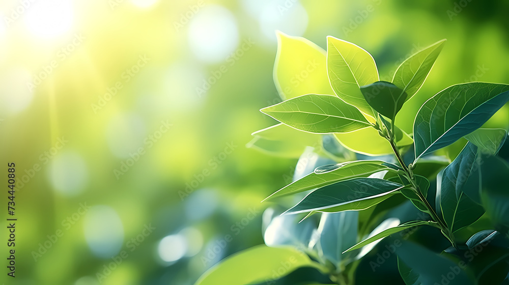 Obraz premium Spring season, vibrant green background