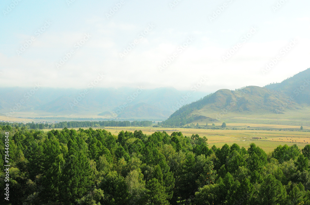 Obraz premium A look through the tops of the trees at a flat valley at the foot of the mountain on a sunny summer day.
