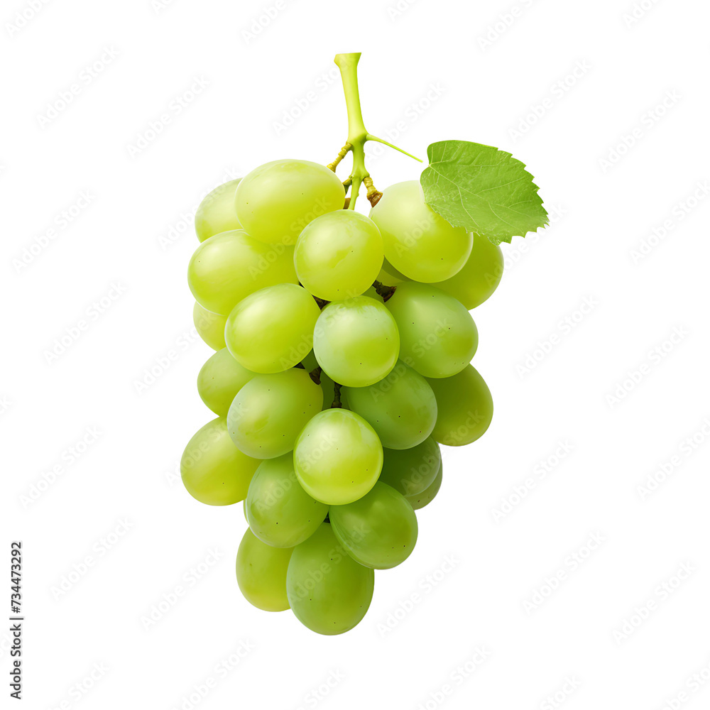See Through Grape on Transparent Ground See Through Grape on Transparent Ground