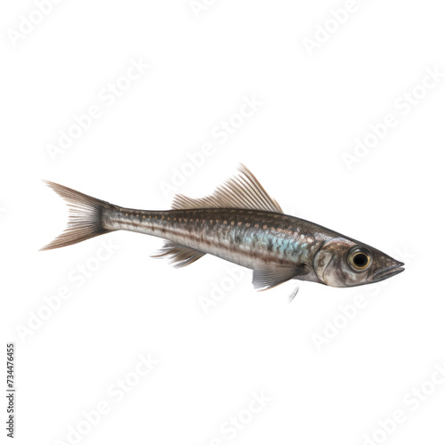 Dartfish PNG Cutout, Generative AI