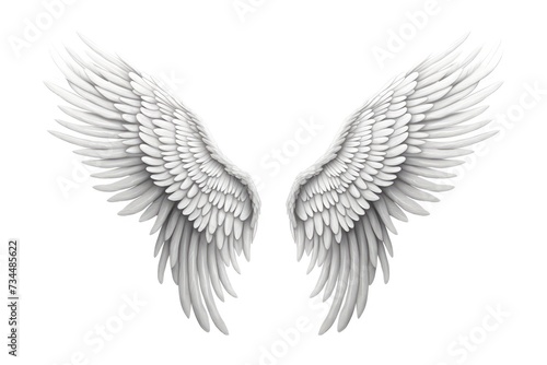artistic outline of wings