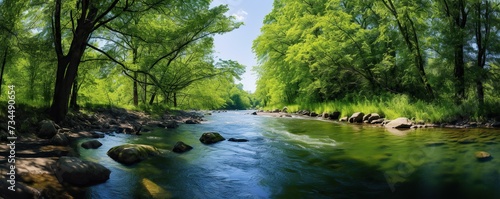 River in the green forest