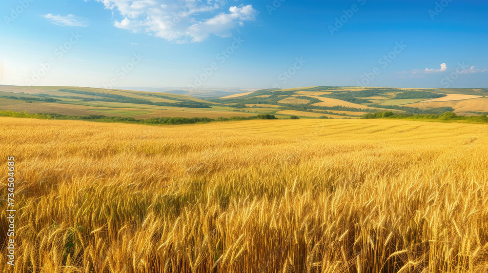 A vast wheat field bathed in golden sunlight stretches towards rolling hills under a clear blue summer sky, epitomizing agricultural abundance.
A vast wheat field bathed in golden sunlight stretches towards rolling hills under a clear blue summer sky, epitomizing agricultural abundance.