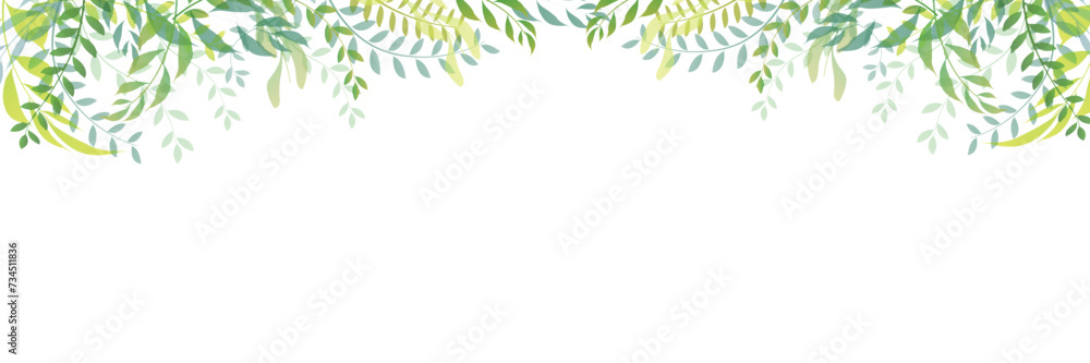 新緑　葉　風景　背景	