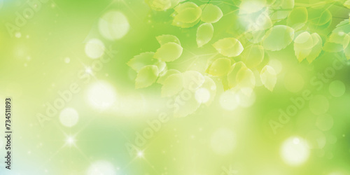 新緑　葉　風景　背景	