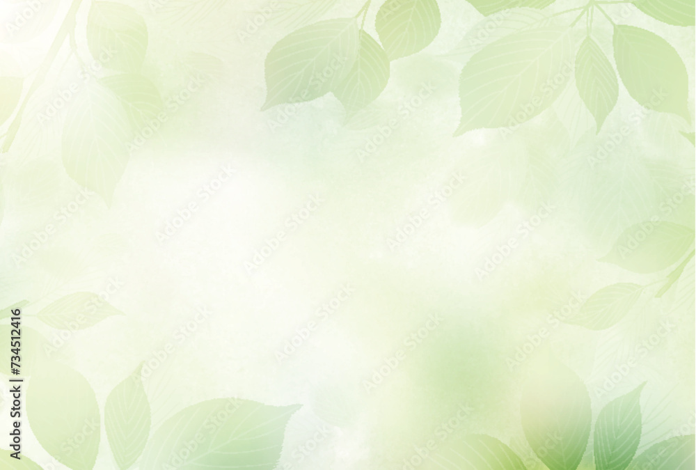 新緑 葉 風景 背景 新緑 葉 風景 背景