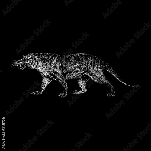 Thylacosmilus hand drawing vector isolated on black background.