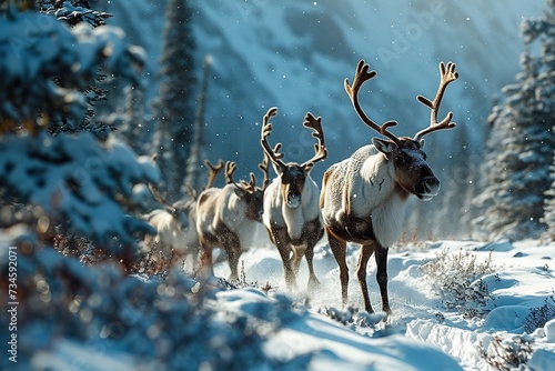 Reindeer Herd Trotting Through Snowy Landscape