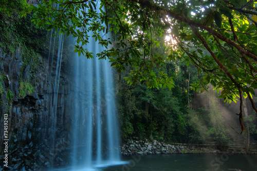 Millaa Millaa Falls in Atherton Tableland  Queensland  Australia  cascades gracefully amidst lush rainforest surroundings