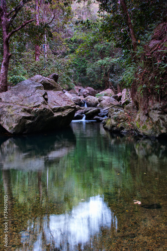 Discover the tranquility of a hidden rainforest creek near Cairns, Queensland. Nature's gentle whispers in a lush sanctuary