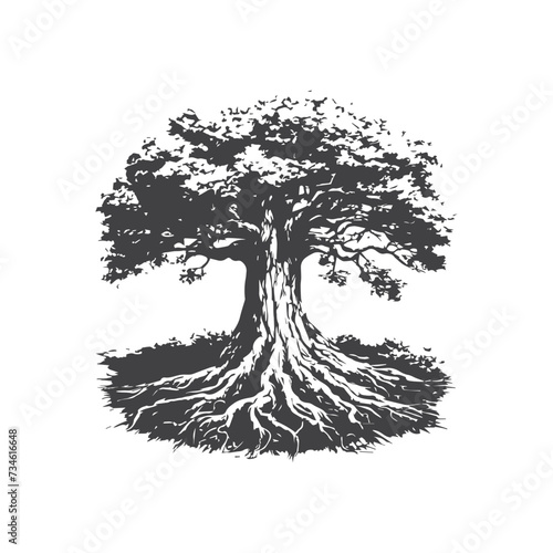 Hand drawn rough sketch of big old tree with roots