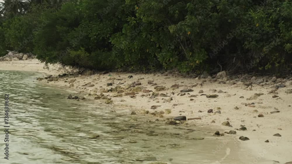 Small ocean crabs on the sand of the beach among rocks and bushes. The sea washes the shore. Maldives. Small ocean crabs on the sand of the beach among rocks and bushes. The sea washes the shore. Maldives.