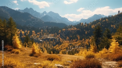 forest in colors of autumn with mountain background
