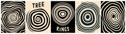 Set of modern abstract contemporary wall art, beige and black posters with tree rings drawings. Vector monochrome simple stylized illustrations for Scandinavian, Japandi style interior decoration. photo