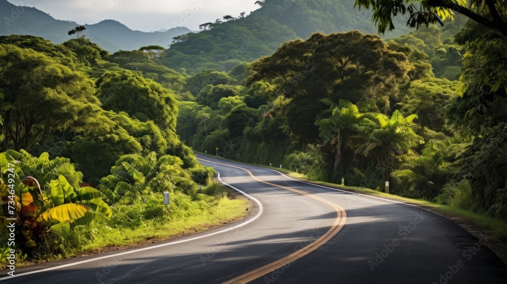 A winding road surrounded by lush tropical greenery