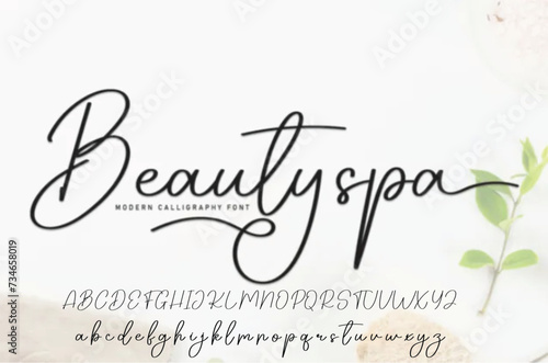 signature Font Calligraphy Logotype Script Brush Font Type Font lettering handwritten