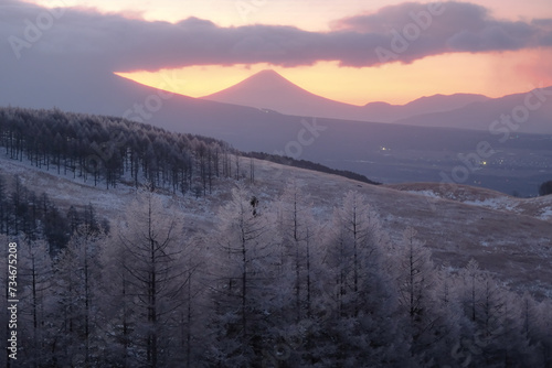 Fototapeta Naklejka Na Ścianę i Meble -  冬の景色