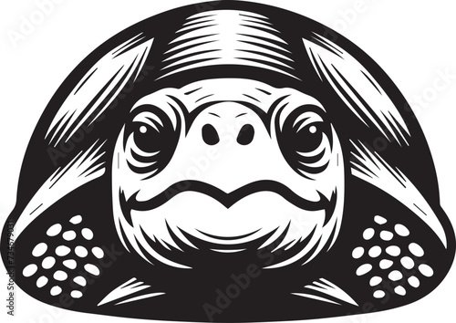 Tortoise Face Vector Illustration 