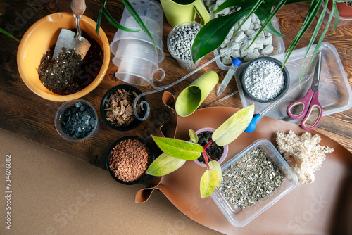 Home Gardening Routine: Various Tools for Repotting Houseplants. Plant Health Care, Ingredients for New Lightweight Moisture-Retentive Soil. Modern Plant Disease Prevention Concept photo
