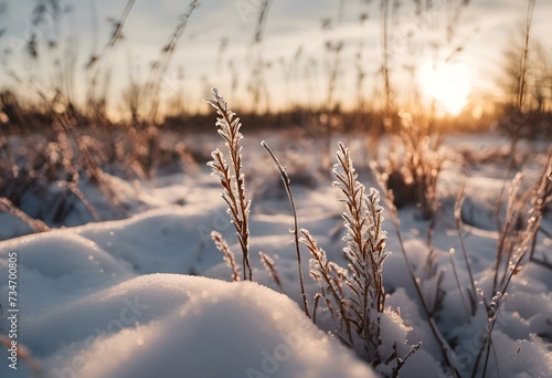 AI generated illustration of frozen plants in a snowy field © Wirestock