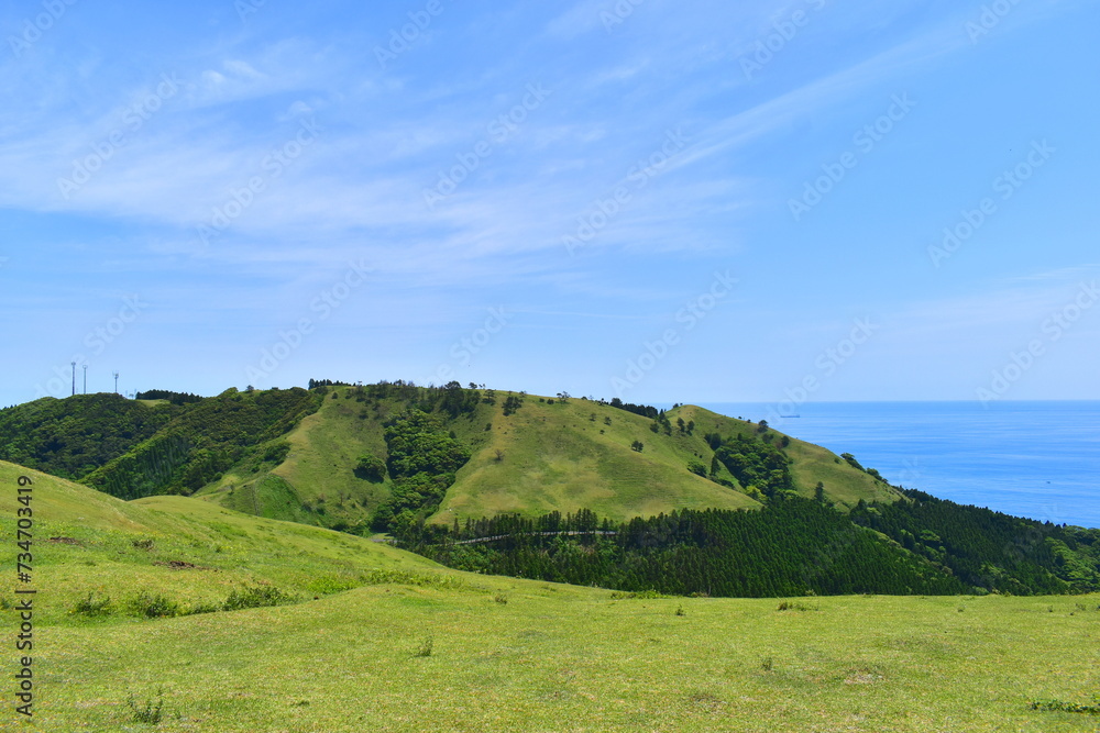 Obraz premium 宮崎 宮崎県 都井岬