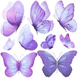 Butterfly watercolor illustration with peony flowers. Colorful clipart. Violet purple butterfly. Baby shower design elements. Party invitation, birthday celebration. Spring or summer decoration,floral