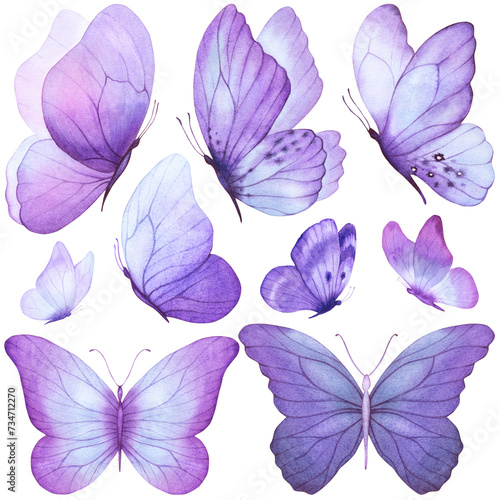 Butterfly watercolor illustration with peony flowers. Colorful clipart. Violet purple butterfly. Baby shower design elements. Party invitation  birthday celebration. Spring or summer decoration floral