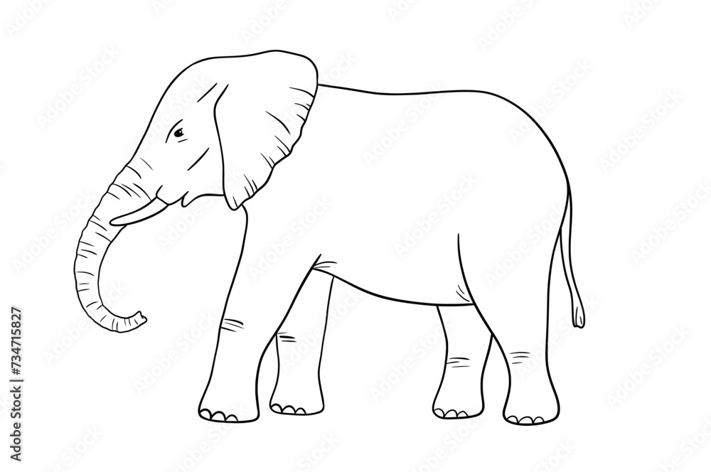 Elephant line sketch isolated on white background. Vector engraving illustration. Doodle african animal
