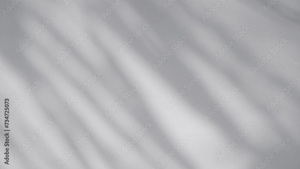 shadow of palm leave sway in the wind. on white background shadow of palm leave sway in the wind. on white background