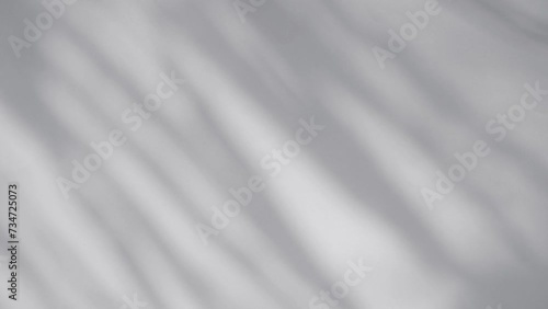 shadow of palm leave sway in the wind. on white background
