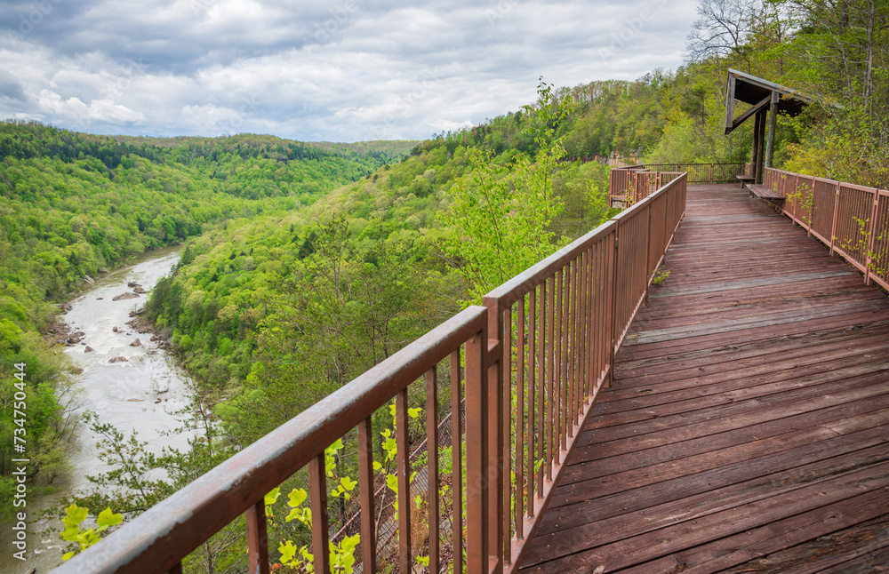 River Overlook at Big South Fork National River and Recreation Area