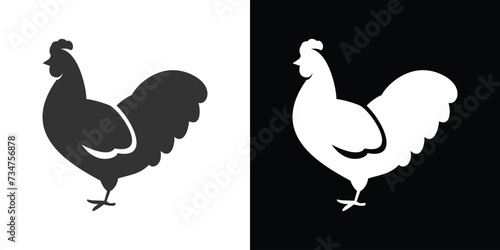 black and white chicken