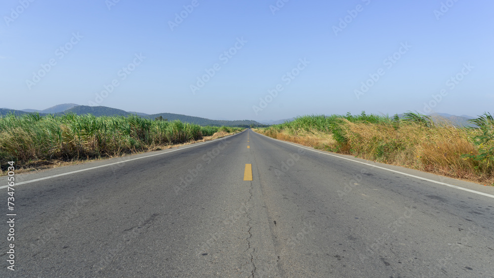 Long straight two-lane concrete road paved with black asphalt. Along the road, tall dry grass interspersed with green corn stalks. wide corn field There is a mountain at the destination. 