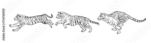 Line art drawing tiger illustration. tigers line art vector illustrations for designers and other creative use. tiger tattoo design wild animal illustration vector. Run and jump tiger.
