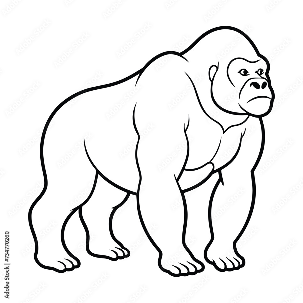 Gorilla vector illustration on white