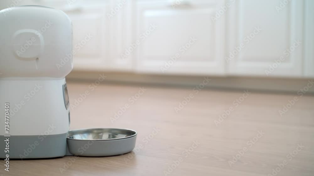 Smart cat feeder pouring a portion of dry food in the kitchen. Hungry cat running to the automatic robot feeder. Pet nutrition, day ration, pet's device, weight control, pet care Smart cat feeder pouring a portion of dry food in the kitchen. Hungry cat running to the automatic robot feeder. Pet nutrition, day ration, pet's device, weight control, pet care