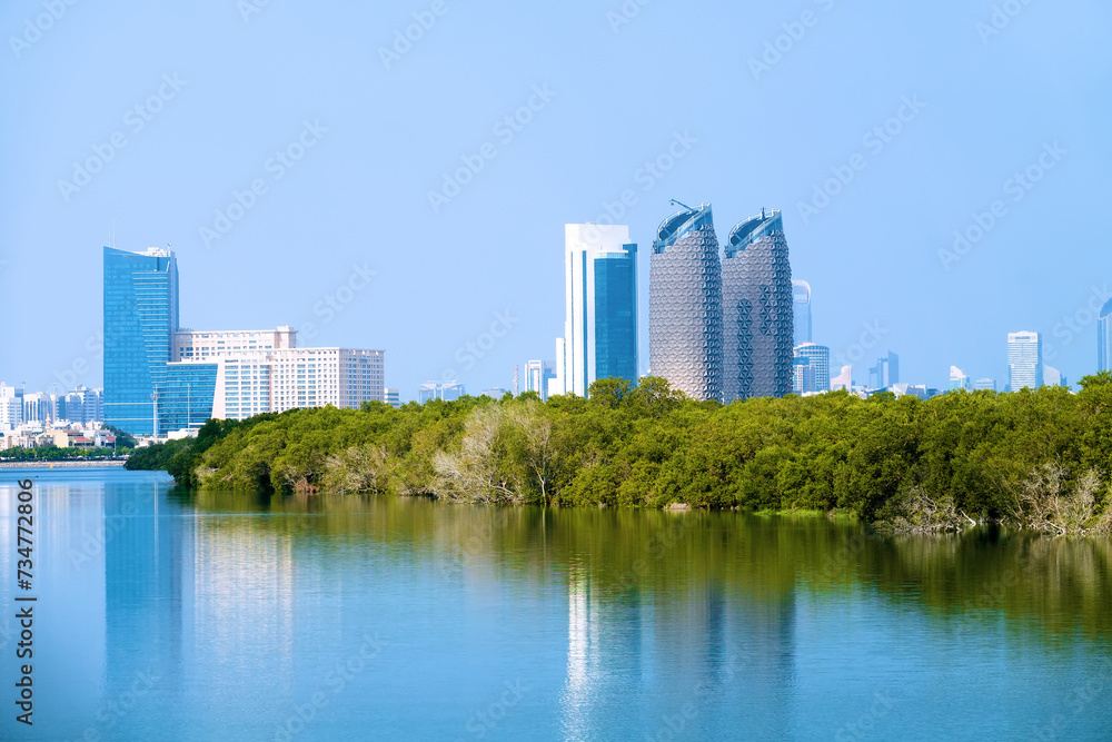 Fototapeta premium Mangroves in the Persian Gulf. United Arab Emirates. Against the backdrop of the skyscrapers of Abu Dhabi