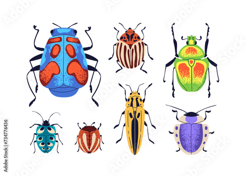 Beetles and bugs set. Summer insects with colorful wings, antennae, top view....