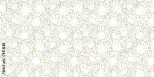 Sunflower pattern background, vector seamless repeating floral wallpaper for the summer, neutral