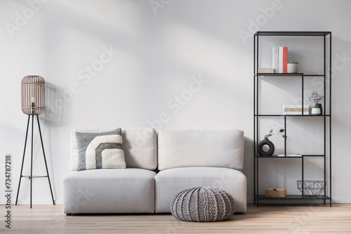View of modern scandinavian style interior with sofa, lamp and bookcase, Home staging and minimalism concept	