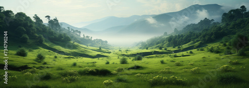 a wide expanse of lush green grassland landscape meadow with clear skies, clouds, and mountains in the distance created with Generative AI Technology photo