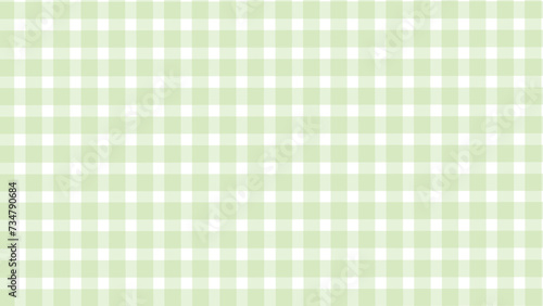 Green and white plaid fabric texture background	