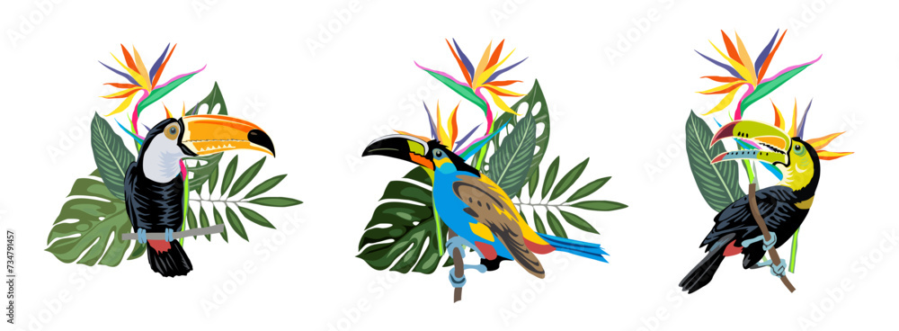 Fototapeta premium Set of Tropical compositions with exotic leaves, flowers and toucans. Tucan bird sitting on the branch. Colorful vector illustrations isolated on transparent background. PNG. Sticker.