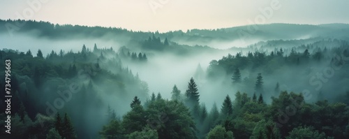 Misty landscape with fir forest landscape background, Generative AI